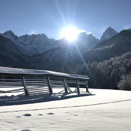 Apartment Loyd, Kranjska Gora - Studio エクステリア 写真