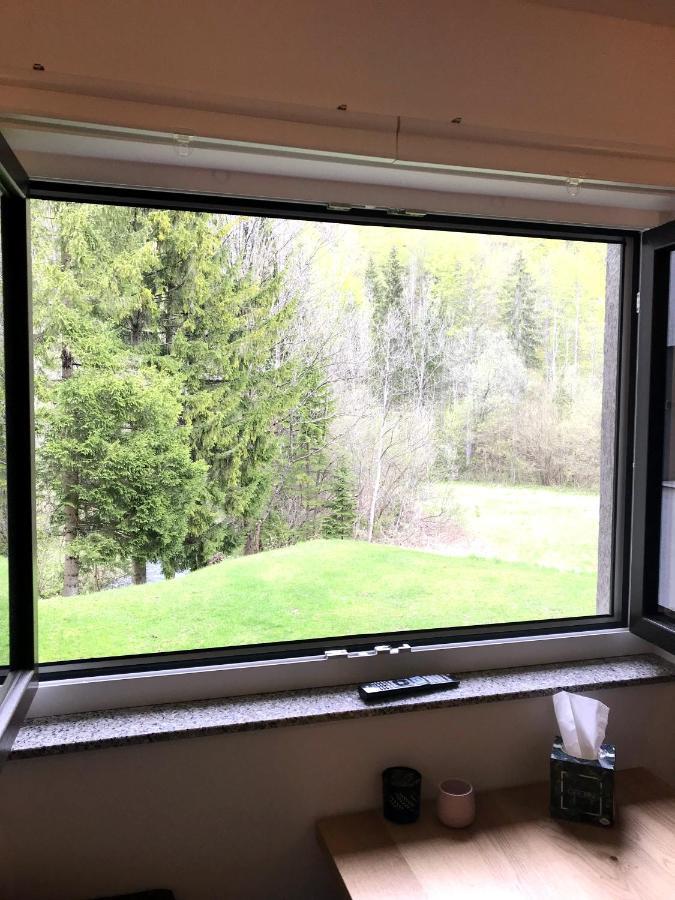 Apartment Loyd, Kranjska Gora - Studio エクステリア 写真